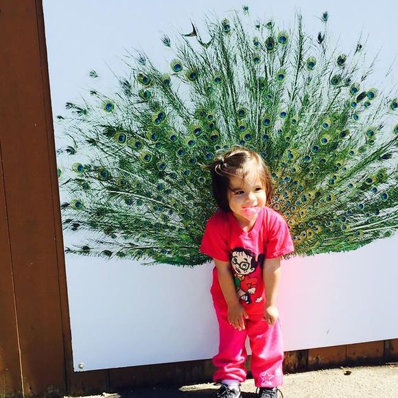 Meet your Posher, Benjamin - Picture 1 of 1